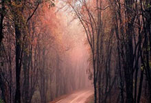 荣耀之巅,王者加冕:乌拉圭曲棍球队以7-2横扫秘鲁,勇夺男子曲棍球金牌!