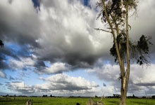 黯然神伤路易二世：摩纳哥主场沦陷，低迷阴影笼罩球队