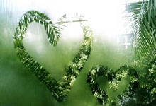 黯然神伤路易二世:摩纳哥主场沦陷,低迷阴影笼罩球队