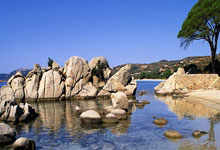 黯然神伤路易二世：摩纳哥主场沦陷，低迷阴影笼罩球队