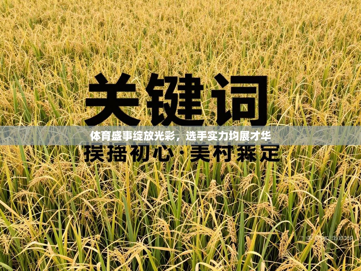 体育盛事绽放光彩，选手实力均展才华