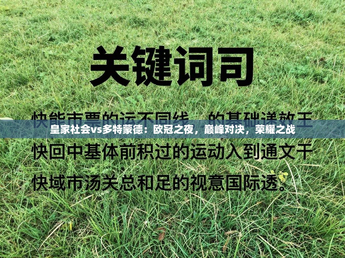 皇家社会vs多特蒙德：欧冠之夜，巅峰对决，荣耀之战